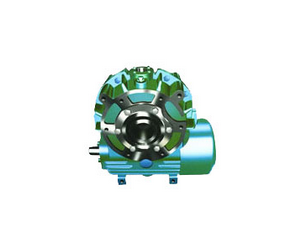 CW series worm gear reducer